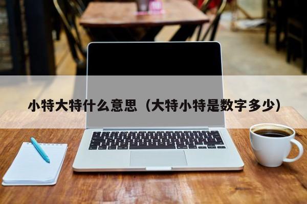 小特大特什么意思（大特小特是数字多少）